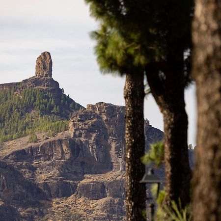 Casa Maria With Roque Nublo View Apartman Tejeda Kültér fotó