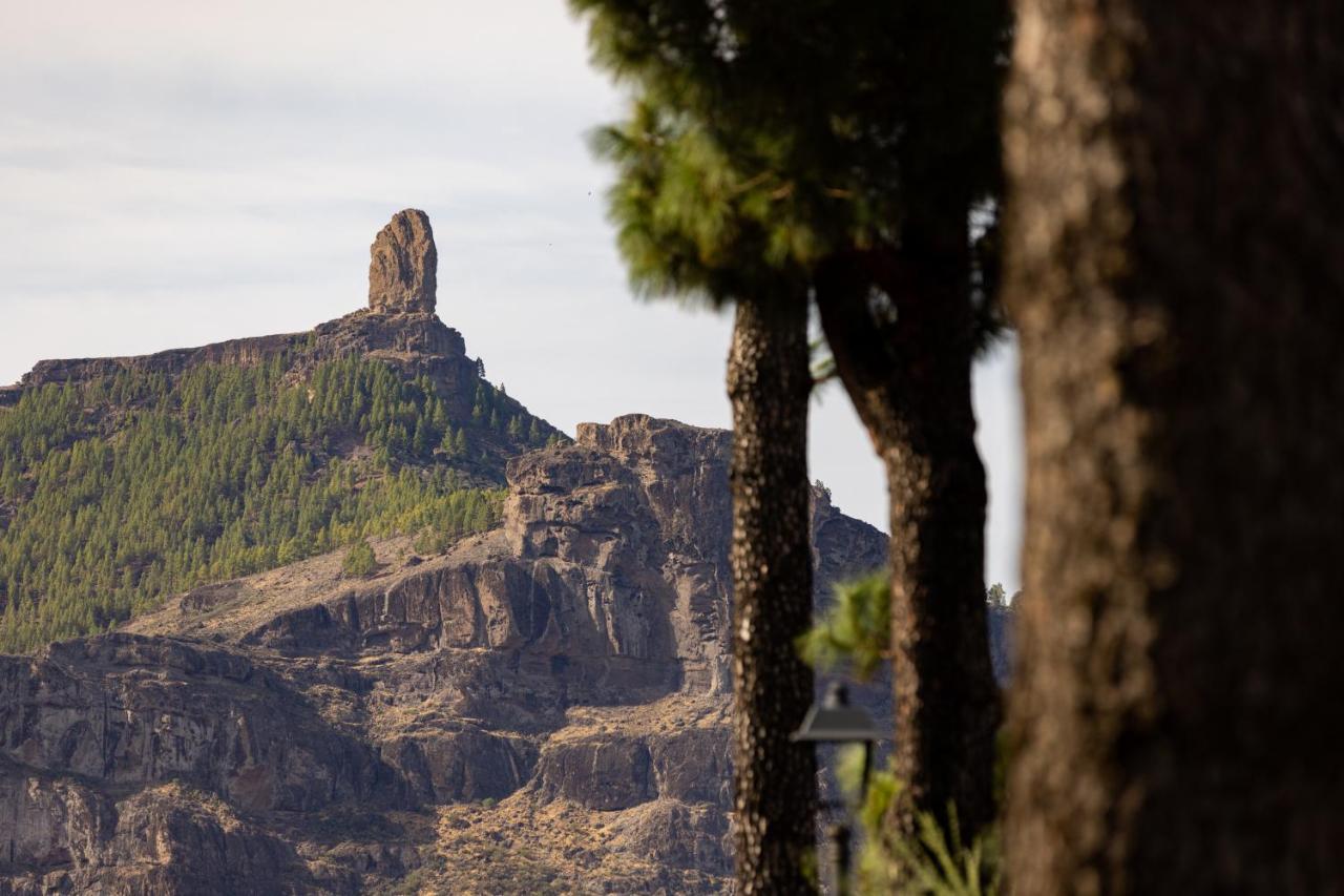 Casa Maria With Roque Nublo View Apartman Tejeda Kültér fotó